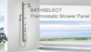 Read more about the article Exposed Shower Set Reviews