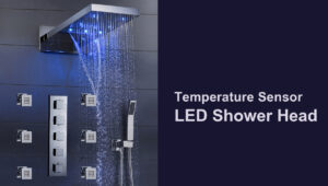 Read more about the article Installations for Temperature Sensor Color Changing LED Shower Head