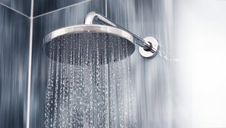 Read more about the article Cecilia Stainless Steel Shower Set  with Concealed Mixer