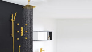 Read more about the article Installation Instructions Shower with Body Jets