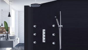 Read more about the article Shower Sets Facts & Installations