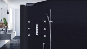 Read more about the article Polished Nickel vs Chrome