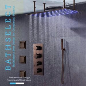 Read more about the article Maintaining Oil Rubbed Bronze LED Shower Head
