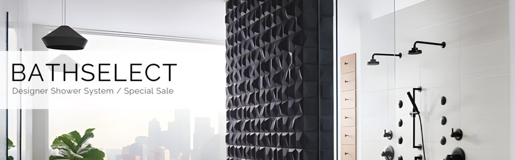 best rain shower head with a handheld