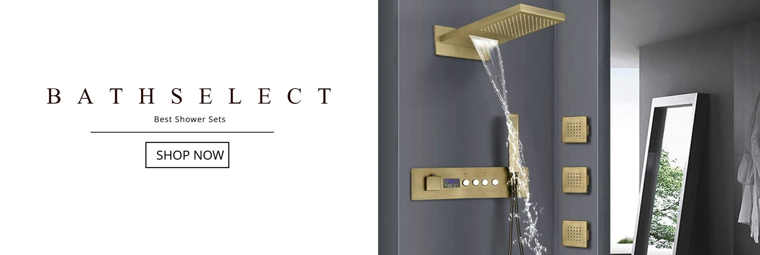 Read more about the article Independent Customer Reviews 2024 Massage Showers