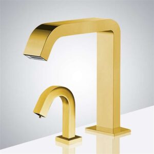 Read more about the article Gold Faucet & Vienna Bronze Touchless Dispenser Review