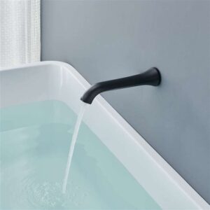 Read more about the article Elephant Trunk Matte Black & White Gold Commercial Sensor Faucet Review