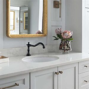 Read more about the article Matte Black Brass & Brushed Nickel Touchless Faucet Review